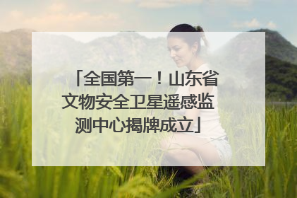 全国第一！山东省文物安全卫星遥感监测中心揭牌成立