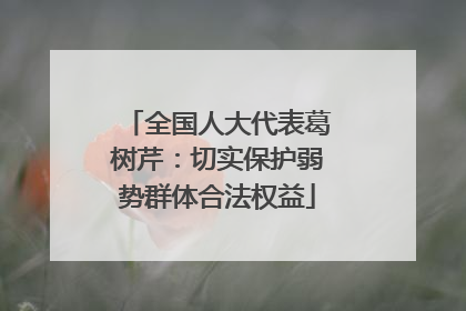 全国人大代表葛树芹：切实保护弱势群体合法权益