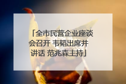 全市民营企业座谈会召开 韦韬出席并讲话 范兆森主持