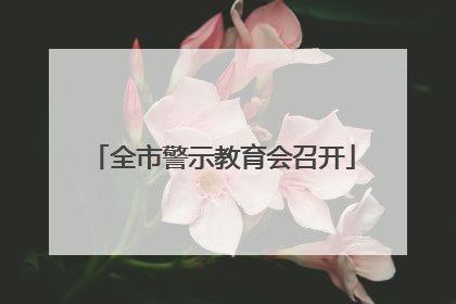 全市警示教育会召开