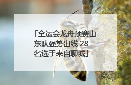 全运会龙舟预赛山东队强势出线 28名选手来自聊城