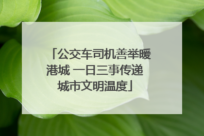 公交车司机善举暖港城 一日三事传递城市文明温度