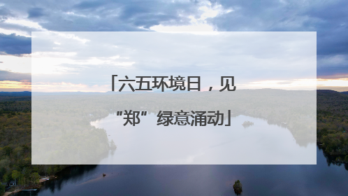 六五环境日，见“郑”绿意涌动