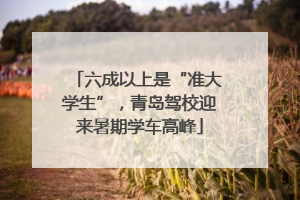 六成以上是“准大学生”，青岛驾校迎来暑期学车高峰