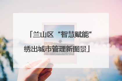 兰山区“智慧赋能”绣出城市管理新图景