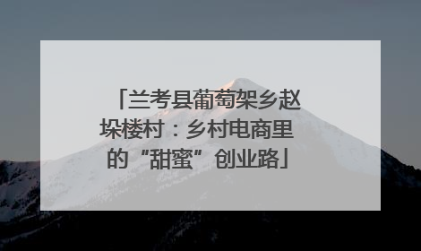 兰考县葡萄架乡赵垛楼村：乡村电商里的“甜蜜”创业路