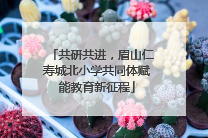 共研共进，眉山仁寿城北小学共同体赋能教育新征程