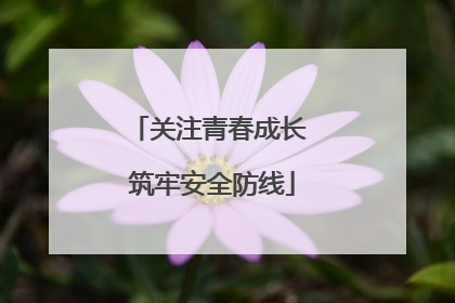 关注青春成长 筑牢安全防线