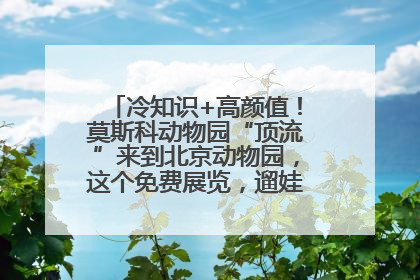 冷知识+高颜值！莫斯科动物园“顶流”来到北京动物园，这个免费展览，遛娃拍照两不误！