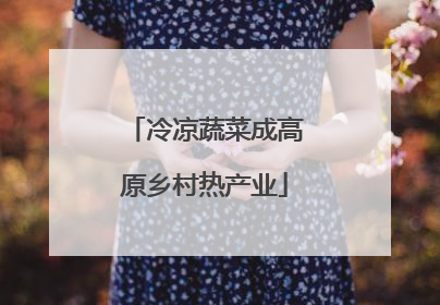 冷凉蔬菜成高原乡村热产业