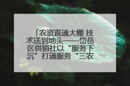 农资直通大棚 技术送到地头——岱岳区供销社以“服务下沉”打通服务“三农”最后一公里