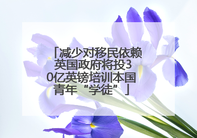 减少对移民依赖 英国政府将投30亿英镑培训本国青年“学徒”