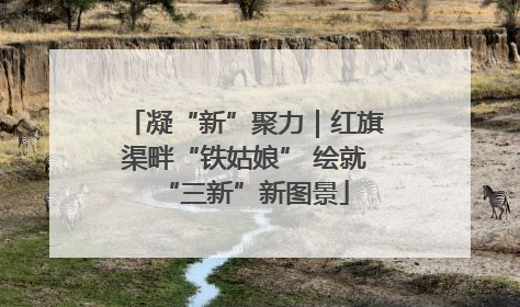 凝“新”聚力｜红旗渠畔“铁姑娘” 绘就“三新”新图景