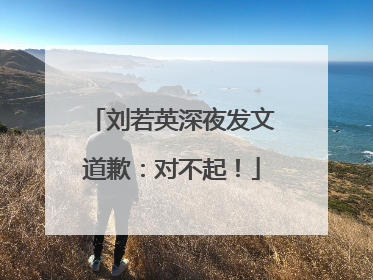 刘若英深夜发文道歉：对不起！