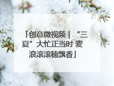 创意微视频｜“三夏”大忙正当时 麦浪滚滚穗飘香