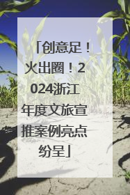 创意足！火出圈！2024浙江年度文旅宣推案例亮点纷呈
