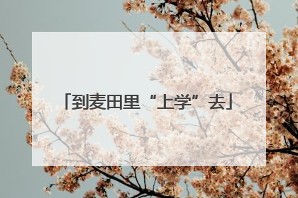 到麦田里“上学”去