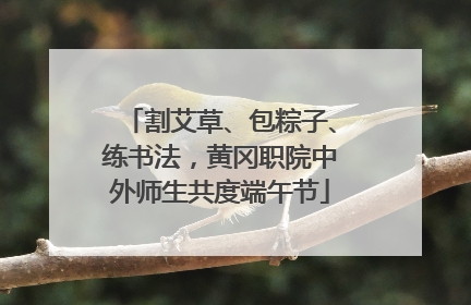 割艾草、包粽子、练书法，黄冈职院中外师生共度端午节