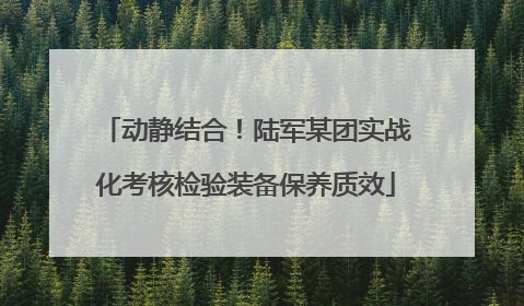 动静结合！陆军某团实战化考核检验装备保养质效
