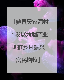勉县吴家湾村：发展烤烟产业 助推乡村振兴富民增收