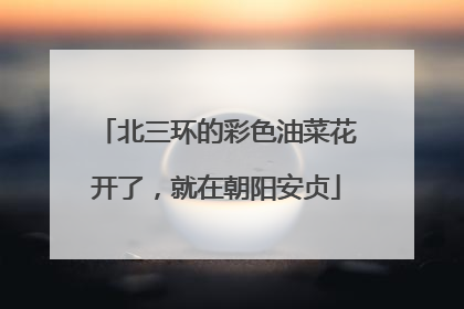北三环的彩色油菜花开了，就在朝阳安贞
