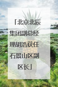 北京北辰集团副总经理胡浩获任石景山区副区长