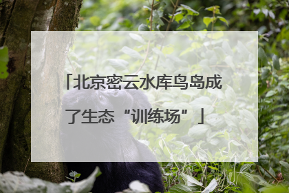 北京密云水库鸟岛成了生态“训练场”