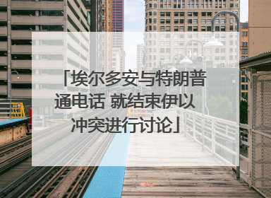埃尔多安与特朗普通电话 就结束伊以冲突进行讨论