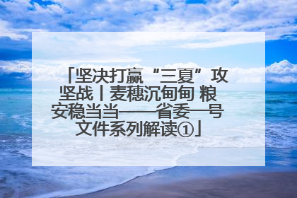 坚决打赢“三夏”攻坚战丨麦穗沉甸甸 粮安稳当当——省委一号文件系列解读①