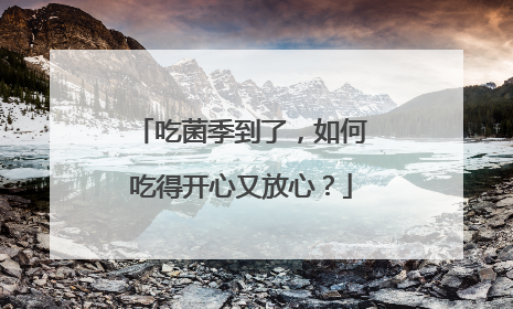 吃菌季到了，如何吃得开心又放心？