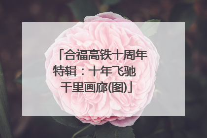 合福高铁十周年特辑：十年飞驰 千里画廊(图)