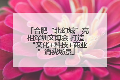 合肥“北幻城”亮相深圳文博会 打造“文化+科技+商业”消费场景
