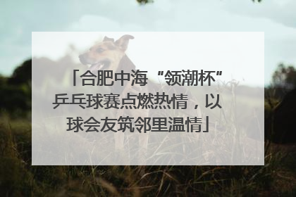 合肥中海“领潮杯”乒乓球赛点燃热情，以球会友筑邻里温情