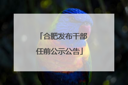 合肥发布干部任前公示公告