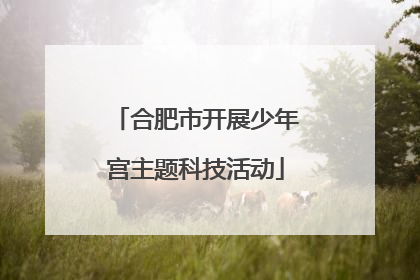 合肥市开展少年宫主题科技活动
