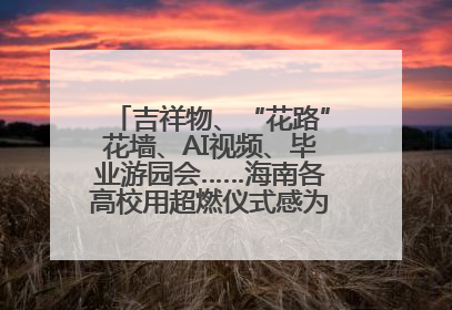 吉祥物、“花路”花墙、AI视频、毕业游园会……海南各高校用超燃仪式感为学子青春“存档”