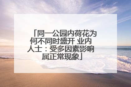 同一公园内荷花为何不同时盛开 业内人士：受多因素影响 属正常现象