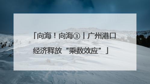 向海！向海③丨广州港口经济释放“乘数效应”