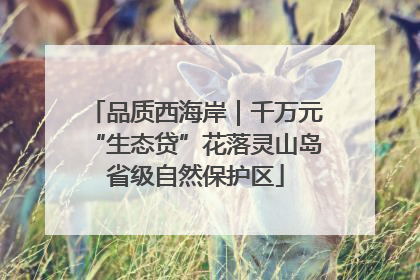 品质西海岸｜千万元“生态贷”花落灵山岛省级自然保护区