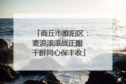 商丘市睢阳区：麦浪滚滚战正酣 干群同心保丰收