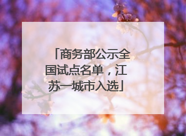 商务部公示全国试点名单，江苏一城市入选