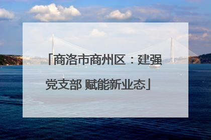 商洛市商州区：建强党支部 赋能新业态