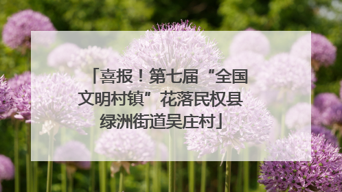 喜报！第七届“全国文明村镇”花落民权县绿洲街道吴庄村