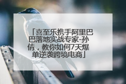喜至乐携手阿里巴巴落地实战专家-孙倩，教你如何7天爆单逆袭跨境电商