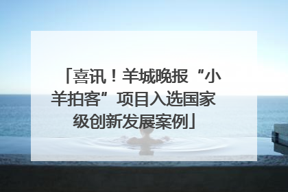 喜讯！羊城晚报“小羊拍客”项目入选国家级创新发展案例