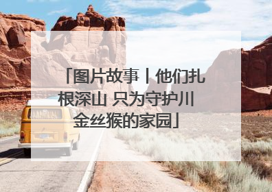 图片故事丨他们扎根深山 只为守护川金丝猴的家园