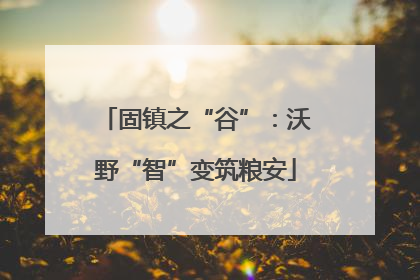 固镇之“谷”：沃野“智”变筑粮安