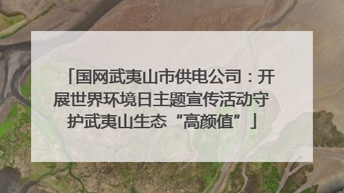 国网武夷山市供电公司：开展世界环境日主题宣传活动守护武夷山生态“高颜值”