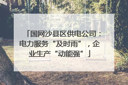 国网沙县区供电公司：电力服务“及时雨”，企业生产“动能强”