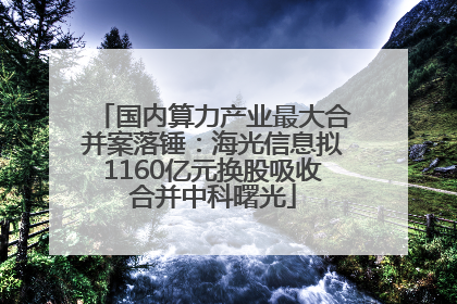 国内算力产业最大合并案落锤：海光信息拟1160亿元换股吸收合并中科曙光